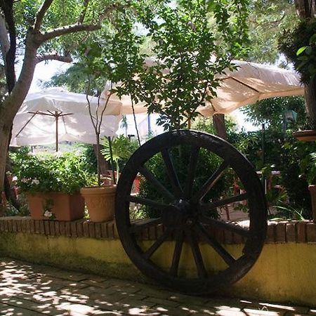 Hotel Ristorante Solari Бриатико Экстерьер фото